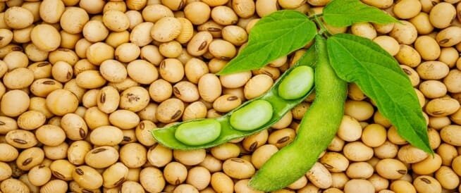 طريقة طبخ فول الصويا للحصول على وجبة نباتية غنية بالبروتين 1 طريقة طبخ فول الصويا